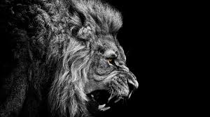 Wallpaper Lion King Power.jpg